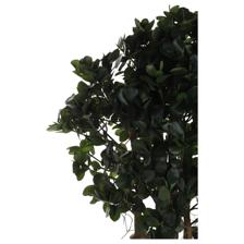 PLANTA ART. C/POTE 50X50X100CM - 592-312287