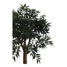 ARTE VEGETAL. C/POTE 45X45X100CM - 592-312288