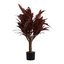 ARTE VEGETAL. C/POTE 45X45X100CM - 592-312293