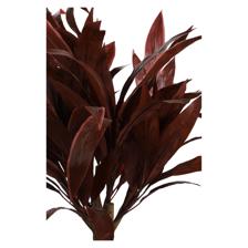 ARTE VEGETAL. C/POTE 45X45X100CM - 592-312293