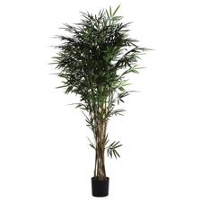 BAMBU C/POTE - 592-312299