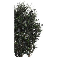PLANTA C/POTE 40X40X120CM - 592-312303