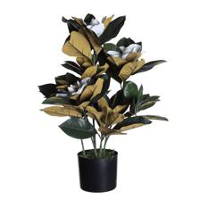 MAGNOLIA C/POTE 30X30X60CM - 592-312305