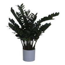 MILLONARIA COM POETA - 592-312329