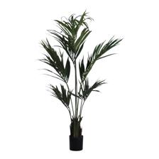 PALMERA CON POTE 45X45X180CM - 592-312331
