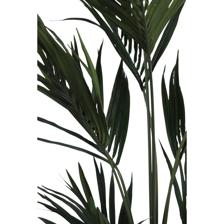 PALMERA CON POTE 45X45X180CM - 592-312331