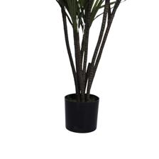 DRACAENA CON POTE - 592-312334