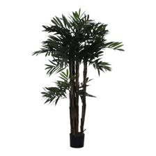 PALMERA CON POTE - 592-312340