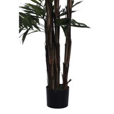 PALMERA CON POTE - 592-312340