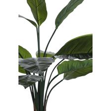 ALOCASIA COM VASO 40X40X80CM - 592-312343