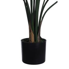 ALOCASIA COM VASO 40X40X80CM - 592-312343