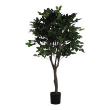 PLANTA CON POTE 48X48X150CM - 592-312344