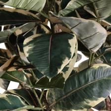 CAUCHO C/POTE 48X48X180CM - 592-312366