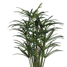 PAPIRO C/POTE 45X45X90CM - 592-312374