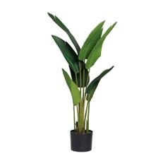 BANANO C/POTE 40X40X120CM - 592-312376