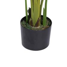 BANANO C/POTE 40X40X120CM - 592-312376