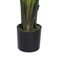 BIRD OF PARADISE - 592-312378
