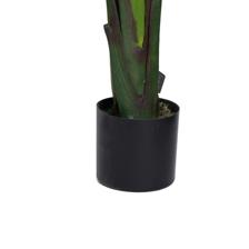 BIRD OF PARADISE - 592-312379