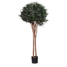 OLIVEIRA COM VASO 55X55X170CM - 592-312383