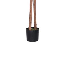 OLIVEIRA COM VASO 55X55X170CM - 592-312383