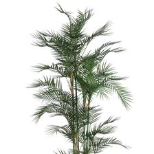PALMERA C/POTE 45X45X180CM - 592-312388