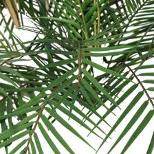 PALMERA C/POTE 45X45X180CM - 592-312388