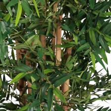 Bambu com panela - 592-312390