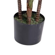 Dracaena com maconha - 592-312396