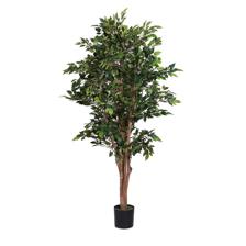 MINI FICUS C/ VASO 50X50X180CM - 592-312399