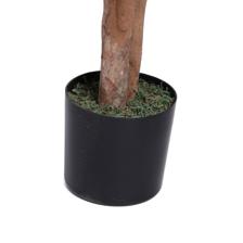 MINI FICUS C/ VASO 50X50X180CM - 592-312399