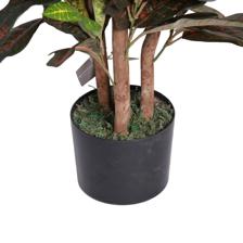 CROTON TREE WITH POT - 592-312400
