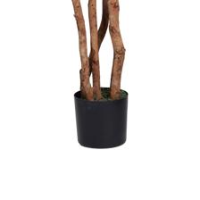 VASO MURRAYA C/ 48X48X180 CM - 592-312401