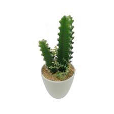 PLANTA ART. C/POTE 9X9X23CM - 592-360096