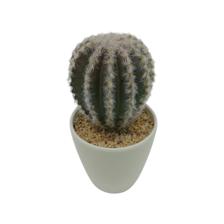 CACTUS ART. C/POTE 7.5X7.5X14. - 592-360097