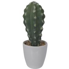 ARTE SUCULENTA. C/POTE 7,5X7,5X - 592-360106