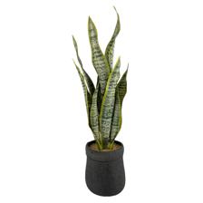 PLANTA C/POTE 20X18X53CM - 592-360127