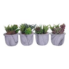 SUCULENTA COM VASO 4SURT 9X7 CM - 592-370313