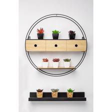 10CM MIN SUCCLENT IN POT - 592-370332