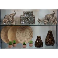 SUCULENTA ART. C/POTE 4SURT - 592-370367