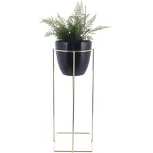 SIZE:20*20*73CM PLANT IN PLASTIC POT - 592-370381