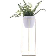 SIZE:20*20*74CM PLANT IN PLASTIC POT - 592-370382