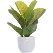 32CM TREE IN POT - 592-370391