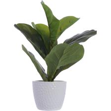 ARTE VEGETAL. C/POTE - 592-370393