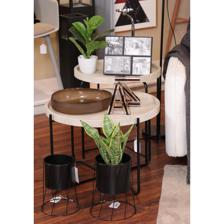 ARTE VEGETAL. C/POTE - 592-370393