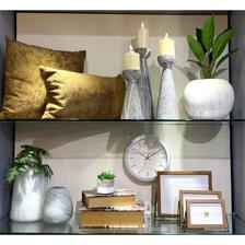 SUCULENTA ART. C/POTE 7.5X7.5X - 592-370420