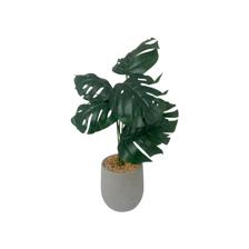 ARTE VEGETAL. C/POTE 11X11X45CM - 592-370459