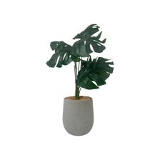 ARTE VEGETAL. C/POTE 11X11X45CM - 592-370459