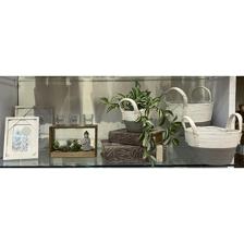 16/17/18/21CM SUCCULENT IN POT - 592-370462