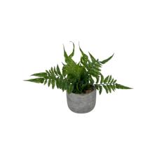 ARTE VEGETAL. C/POTE 10X10X16CM - 592-370509