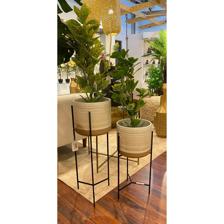 PLANTA C/POTE 11X11X60CM - 592-370674